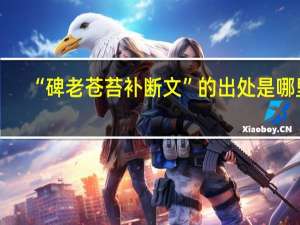 “碑老苍苔补断文”的出处是哪里