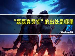 “磊磊真贤宰”的出处是哪里