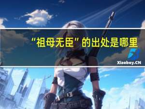 “祖母无臣”的出处是哪里