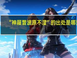 “神屦瞥波原不湿”的出处是哪里