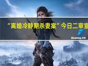 “离婚冷静期杀妻案”今日二审宣判