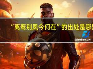 “离鸾别凤今何在”的出处是哪里