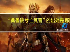 “禽兽骇兮亡其曹”的出处是哪里
