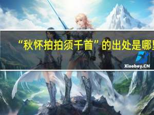 “秋怀拍拍须千首”的出处是哪里