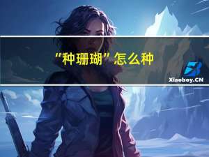 “种珊瑚”怎么种？海底版“植树造林”了解一下 到底什么情况嘞