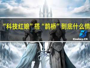 “科技红娘”搭“鹊桥” 到底什么情况嘞