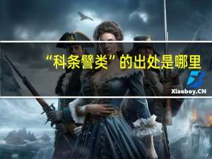 “科条譬类”的出处是哪里