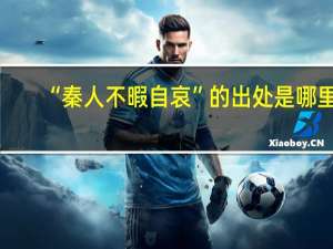 “秦人不暇自哀”的出处是哪里