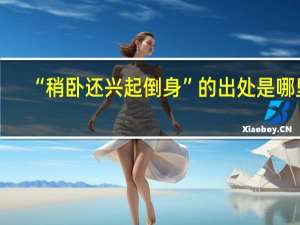 “稍卧还兴起倒身”的出处是哪里