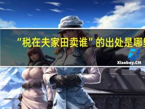 “税在夫家田卖谁”的出处是哪里