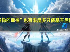 “稳稳的幸福”也有限度 多只债基开启限购模式