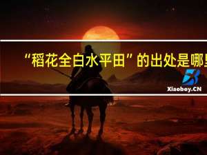 “稻花全白水平田”的出处是哪里