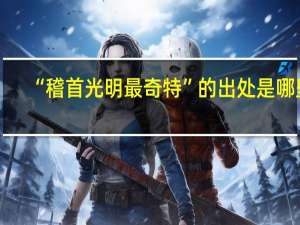 “稽首光明最奇特”的出处是哪里