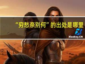 “穷愁奈别何”的出处是哪里