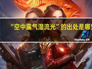 “空中露气湿流光”的出处是哪里