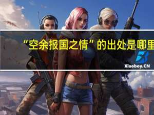 “空余报国之情”的出处是哪里