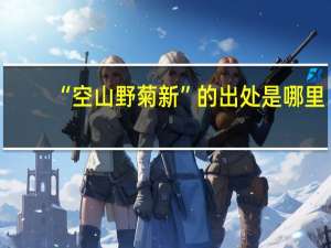 “空山野菊新”的出处是哪里