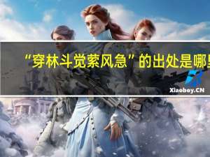 “穿林斗觉萦风急”的出处是哪里