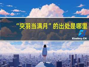 “突羽当满月”的出处是哪里