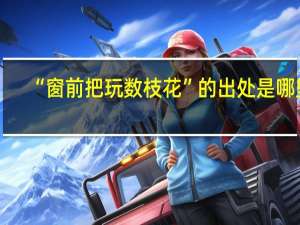 “窗前把玩数枝花”的出处是哪里
