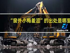 “窗外小梅羞涩”的出处是哪里