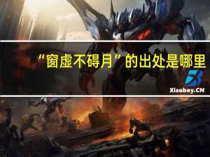 “窗虚不碍月”的出处是哪里