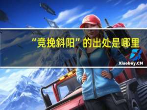 “竞挽斜阳”的出处是哪里