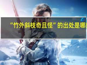 “竹外斜枝奇且怪”的出处是哪里