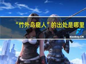 “竹外鸟窥人”的出处是哪里