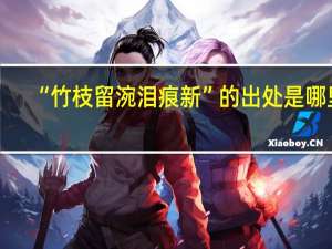 “竹枝留涴泪痕新”的出处是哪里