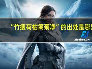 “竹瘦荷枯篱菊净”的出处是哪里