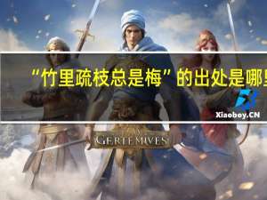 “竹里疏枝总是梅”的出处是哪里