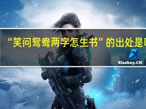 “笑问鸳鸯两字怎生书”的出处是哪里