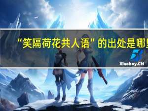 “笑隔荷花共人语”的出处是哪里