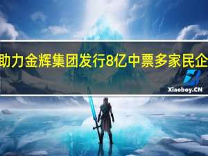 “第二支箭”助力金辉集团发行8亿中票 多家民企债券将于近期发行