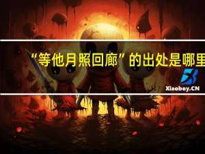 “等他月照回廊”的出处是哪里