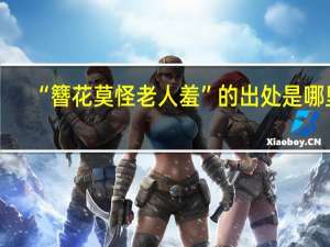 “簪花莫怪老人羞”的出处是哪里