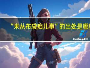“米从布袋痴儿事”的出处是哪里