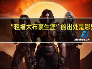 “粗缯大布裹生涯”的出处是哪里