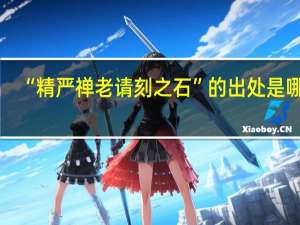 “精严禅老请刻之石”的出处是哪里