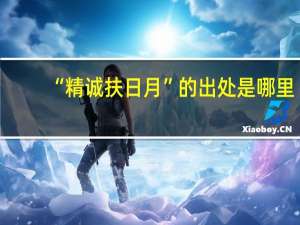 “精诚扶日月”的出处是哪里