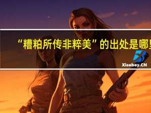“糟粕所传非粹美”的出处是哪里