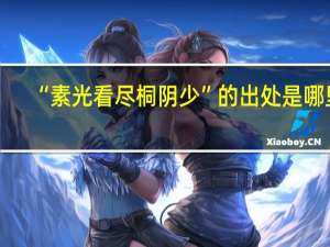 “素光看尽桐阴少”的出处是哪里