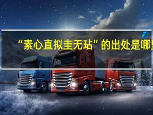 “素心直拟圭无玷”的出处是哪里