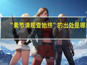 “素节清规壹始终”的出处是哪里