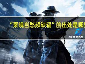 “素魄岂愁频缺辐”的出处是哪里