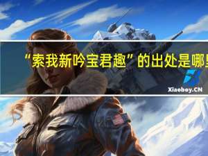 “索我新吟宝君趣”的出处是哪里