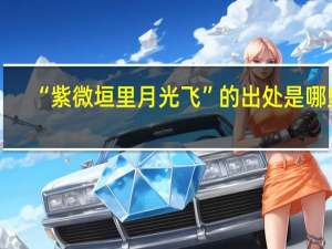 “紫微垣里月光飞”的出处是哪里