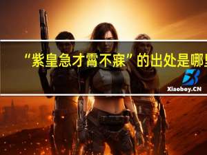 “紫皇急才霄不寐”的出处是哪里