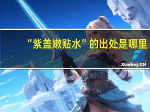 “紫盖嫩贴水”的出处是哪里